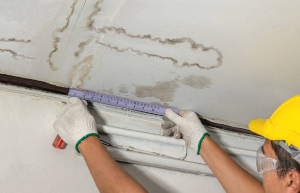 Reliable Water Damage contractor in Perryville, AR by Water Damage Irwin